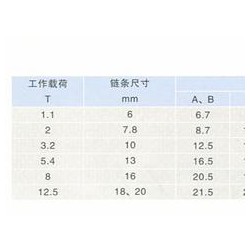 鏈條調(diào)節(jié)器供應(yīng) 買鏈條調(diào)節(jié)器_來(lái)東方力神吊裝設(shè)備